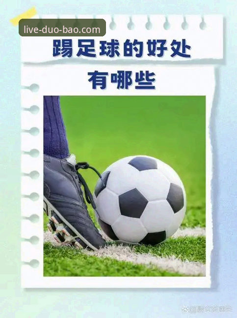 多宝体育官方下载渠道vs非官方渠道：安全与体验的全面对比分析